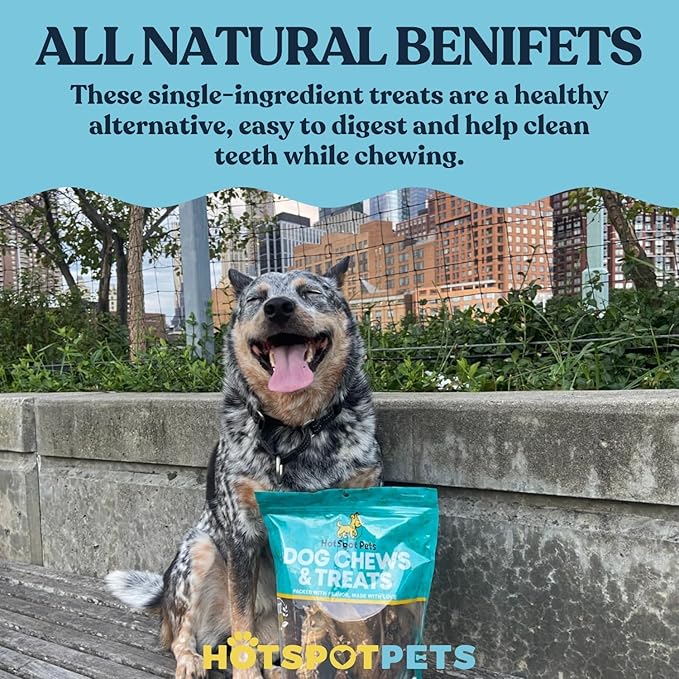 hotspot pets 6-7 Inch USDA Certified Facility Rawhide Dog Chew Bones - Choice of 10, 20, 30 Packs - from Grass Fed Brazilian Cows - Promotes Dental Hygiene and Good Behavior (30 Count)