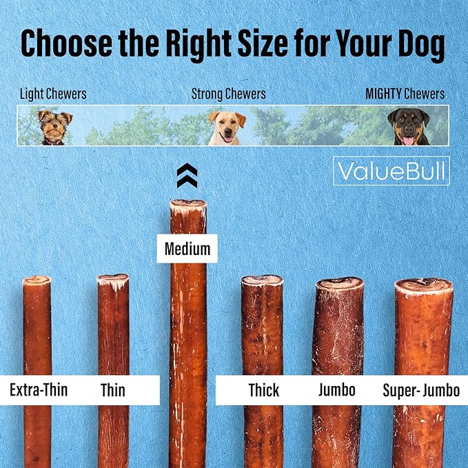 ValueBull Bully Sticks for Dogs, Medium 6 Inch, 50 Count - All Natural, Grass Fed, Single Ingredient, Long Lasting Dog Treats