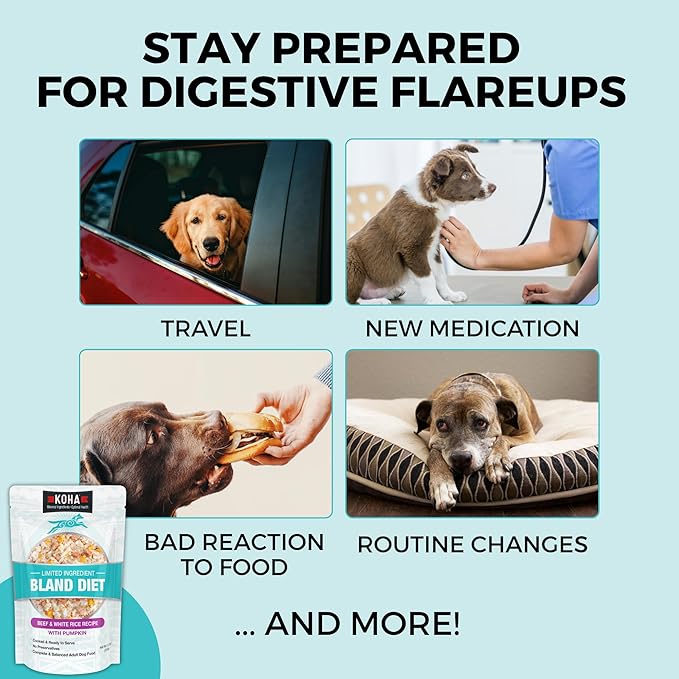 KOHA Pet Limited Ingredient Bland Diet for Dogs Value Pack, Beef and White Rice Recipe Sensitive Stomach Wet Dog Food, Gentle Formula Easy to Digest Bland Diet Dog Food, Pack of 30