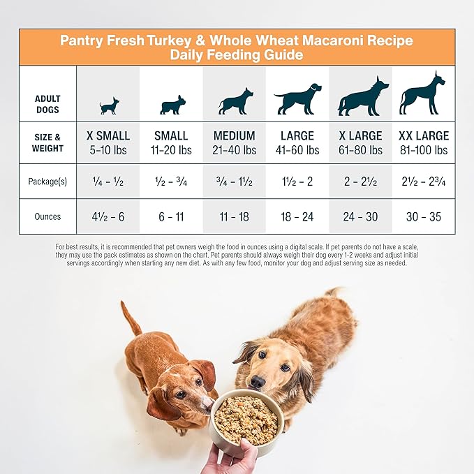 JustFoodForDogs Pantry Fresh Wet Dog Food Complete Meal or Dog Food Topper, Turkey & Whole Wheat Macaroni Human Grade Dog Food Recipe - 12.5 oz (Pack of 12)