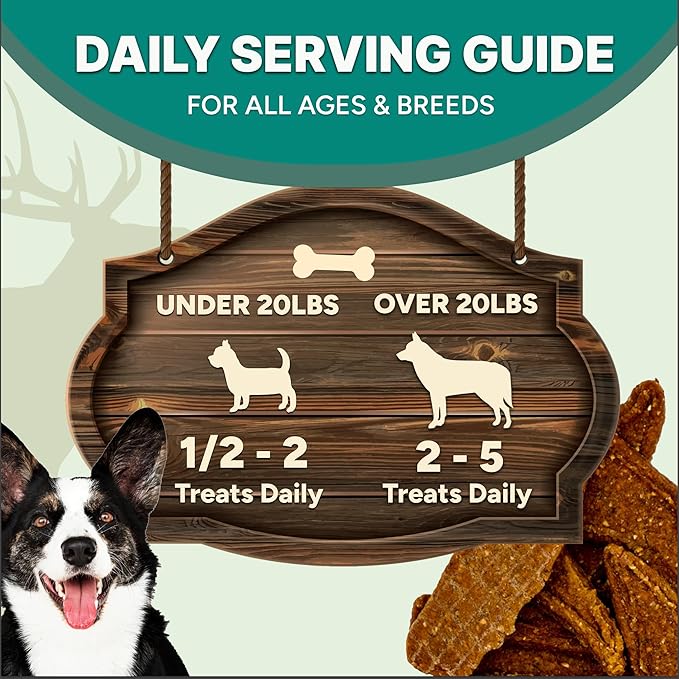 Gaines Family Farmstead Salmon & Sweet Potato Fillets for Dogs - 40 oz Pouch, All-Natural Dog Treats – Wild Caught Alaskan Salmon, Soft Chew, Limited Ingredients, Made in USA