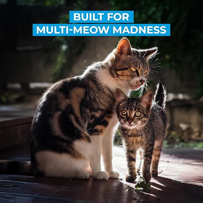 Cat Litter Deodorizer – Pet Safe Odor Eliminator & Housebreaking Supplies for Cats, Kittens, & Small Pets – Natural, Unscented, Non Toxic, Low Dust, 2 lbs, by HugsandTails