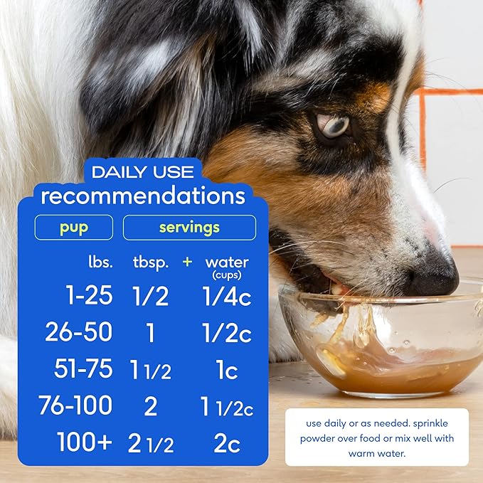 Native Pet, Dogs & Cat Broth Bundle | Chicken & Beef Flavored | Dog Food Topper for Picky Eater | Dog Gravy & Dog Bone Broth Powder