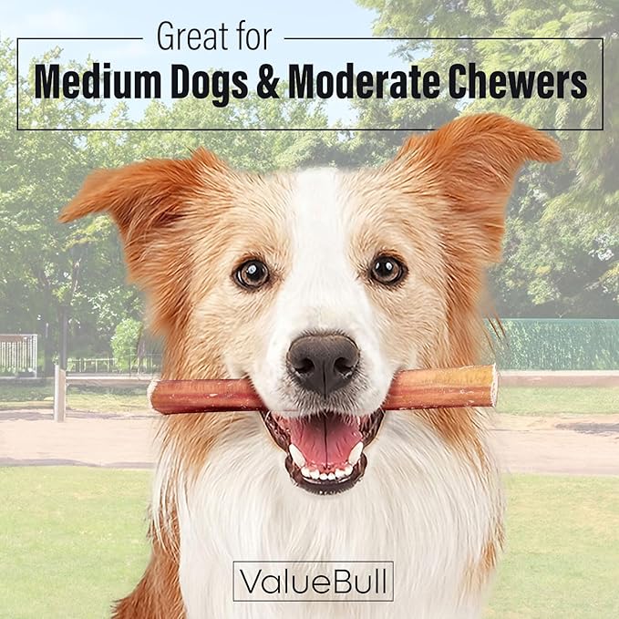 ValueBull Bully Sticks for Dogs, Medium 6 Inch, 200 Count Bulk Pack - All Natural Dog Treats, 100% Beef Pizzles, Single Ingredient