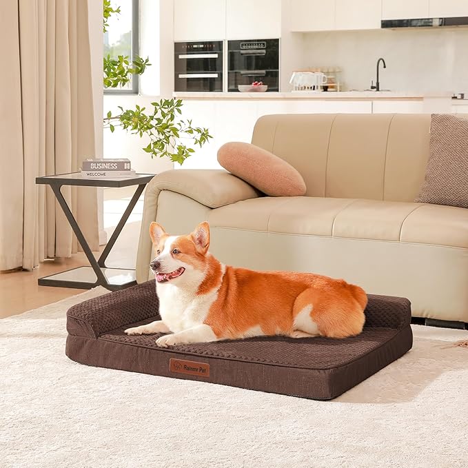 Orthopedic Dog Beds Large Sized Dog, 3 Inch Memory Foam Pet Bed for Medium and Large Dogs, Washable Removable Cover, Nonskid Bottom, Waterproof, 36x27 Inches L Brown Grey