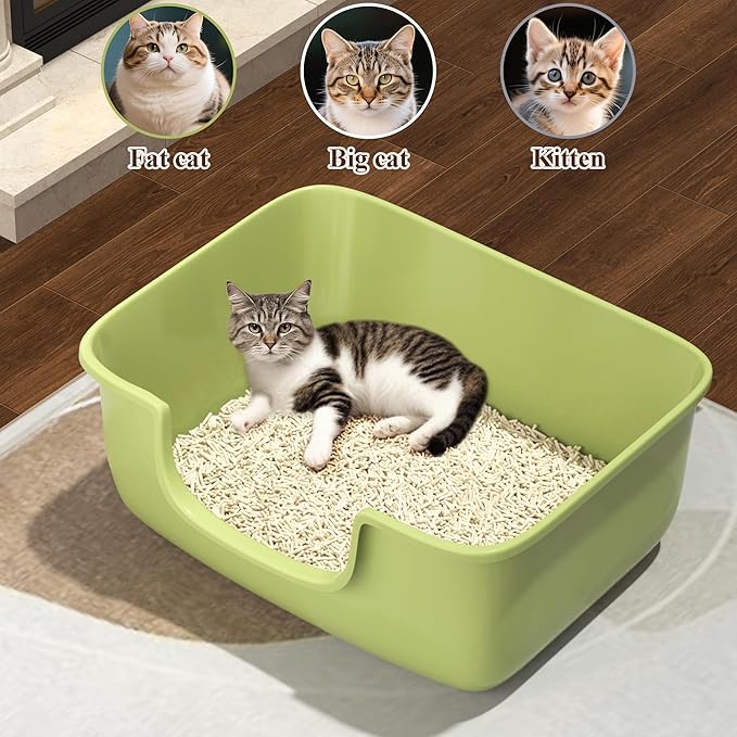 Large Cat Litter Box with High Sides, Open Kitty Litter Boxes Anti-Splashing for Indoor Cat Low Entry Cat Litter Pan for Small and Elderly Cats, Tool-Free Assembly(19.7” * 15.76” * 8.67” Green)