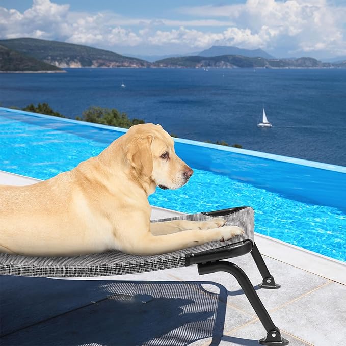 Veehoo Outdoor Elevated Dog Bed, Cooling Raised Dog Cots Beds for Large Dogs, Portable Waterproof Curved Dogs Hammock Bed for Outside, up to 120lbs, Black Legs, Black Silver 42"