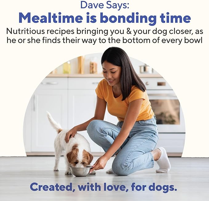 Dave's Pet Food Wet Canned Dog Food (Chicken & Rice), Made in USA Naturally Healthy with Added Vitamins & Minerals, Gluten Free Topper, 13.2 oz (12 Pack)