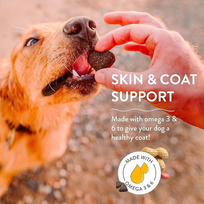 SHAMELESS PETS Natural Grain Free Dog Treats | Made in The USA from Upcycled Food Ingredients (Apple)