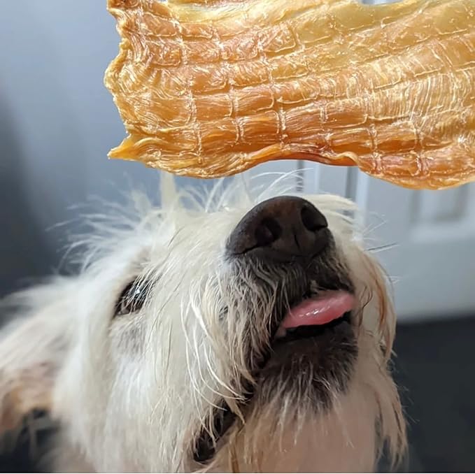 Chicken Jerky - Dog Treats Made in USA Only - 1 Ingredient: USDA Grade A Chicken Breast - No Additives or Preservatives - Grain Free Snack, All Natural Premium Strips, 8 Ounces