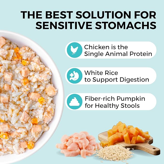 KOHA Pet Limited Ingredient Bland Diet for Dogs Value Pack, Chicken and White Rice Recipe Sensitive Stomach Wet Dog Food, Gentle Formula Easy to Digest Bland Diet Dog Food, Pack of 30