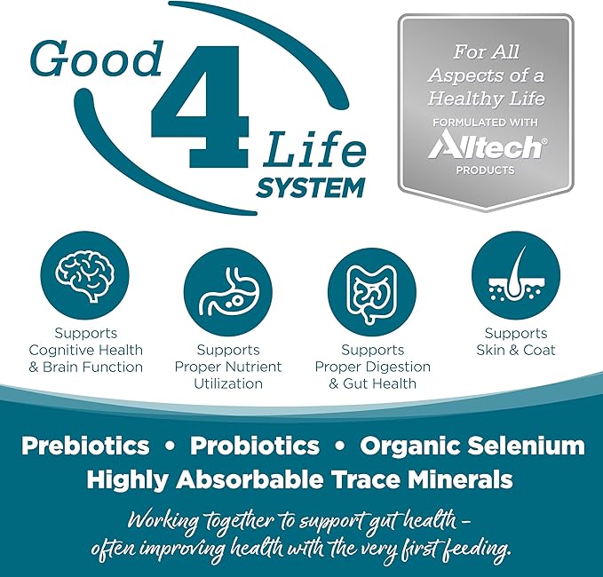 NutriSource Grain Free Chicken Recipe Dog Food, Premium Wet Dog Food, 12.3 Ounce (Pack of 12)