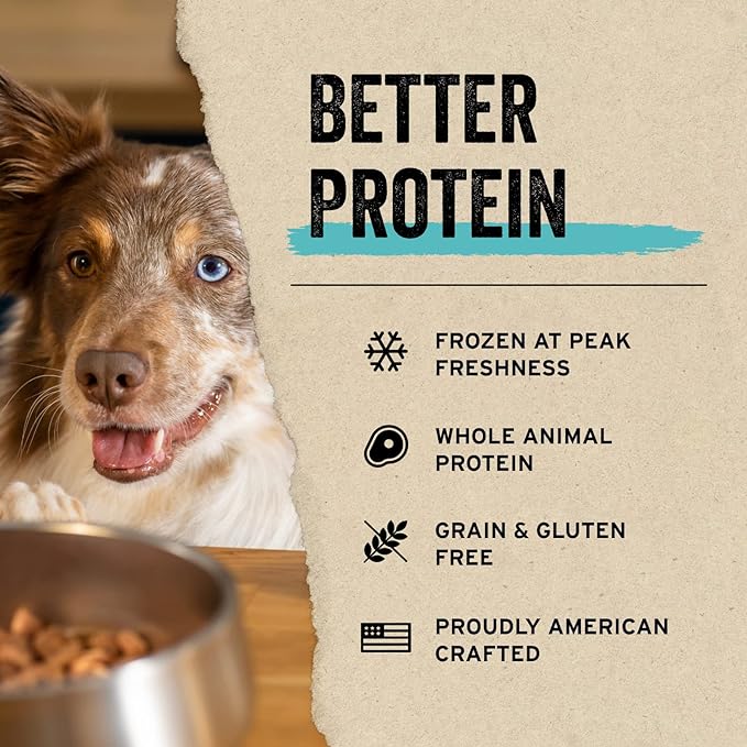 Vital Essentials Freeze Dried Raw Protein Mix-in Dog Food Topper, Chicken Mini Nibs Topper for Dogs, 6 oz