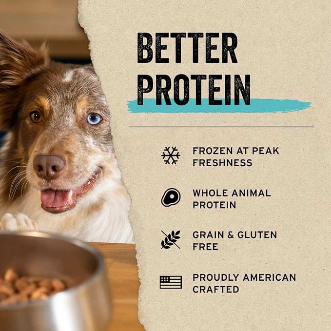 Vital Essentials Freeze Dried Raw Protein Mix-in Dog Food Topper, Beef Mini Nibs Topper for Dogs, 18 oz
