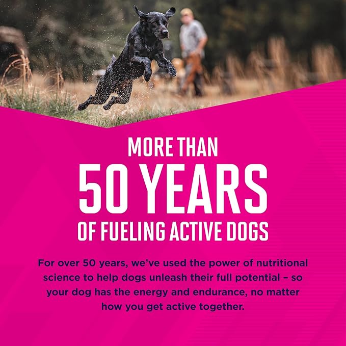 EUKANUBA Adult Mixed Grill Chicken & Beef Dinner in Gravy Canned Dog Food, 12.5 Ounce Cans (Pack of 12)