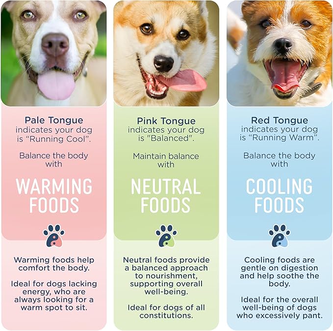 Side by Side Chicken & Lamb Stew, Warming Dog Food for All Breeds, Made of Whole Foods, Every Ingredient Has a Purpose, No Artificial Additives, Fillers, or Gums, Ready to Serve, 12.5 oz, 3 Pack