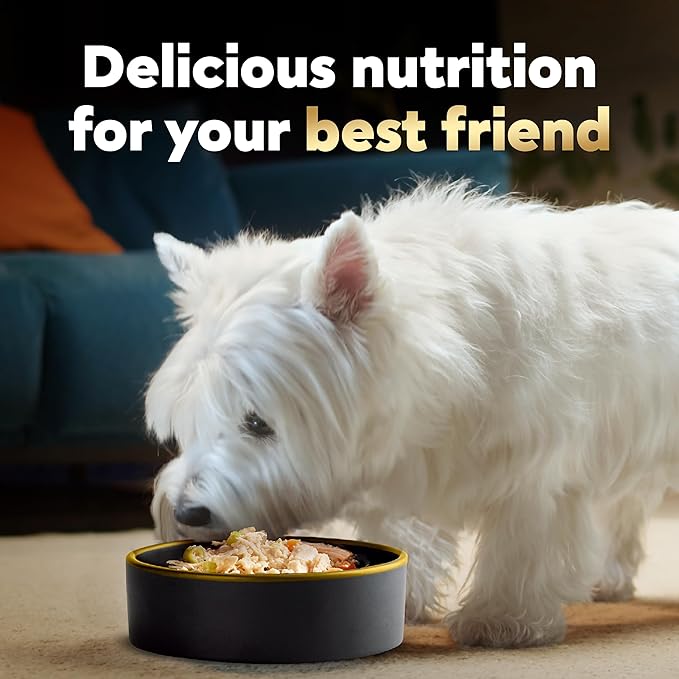 Cesar Wholesome Bowls Adult Wet Dog Food, Chicken Recipe and Chicken, Sweet Potatoes & Green Beans Recipe Variety Pack, 3 oz. (6 Count, Pack of 1)