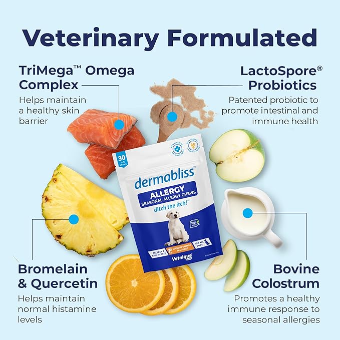 Vetnique Dermabliss Seasonal Dog Allergy Relief & Immune Support Supplement Allergy Chews for Dogs Itching and Licking with Omega 3 Fish Oil & Probiotics for Itch Relief (60 Count Chews)