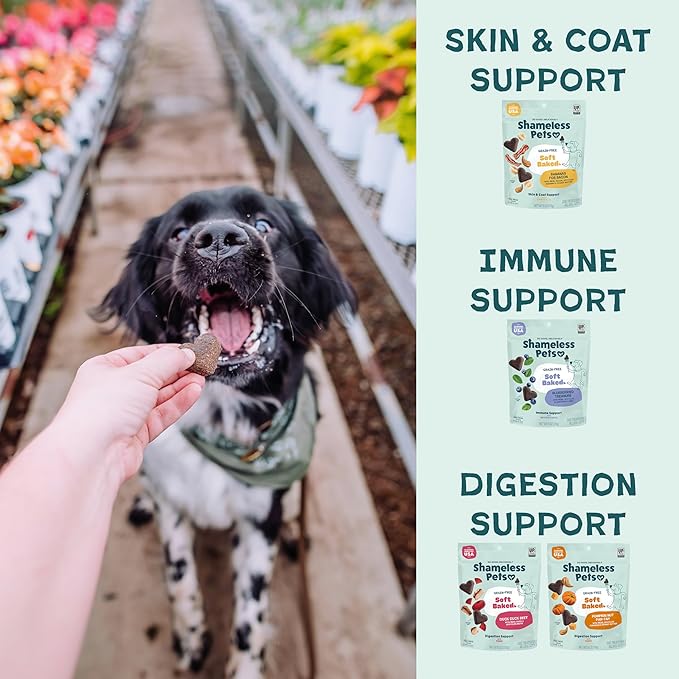 Shameless Pets Soft-Baked Dog Treats, Variety 5-Pack - Natural & Healthy Dog Chews for Small, Medium & Large Dogs - Biscuits Baked & Made in USA, Free from Grain, Corn & Soy