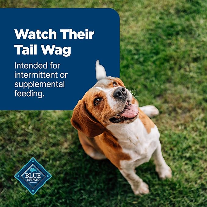 Blue Buffalo Nudges Jerky Cuts Dog Treats, Made in the USA with Natural Ingredients, Chicken & Duck, 16-oz Bag