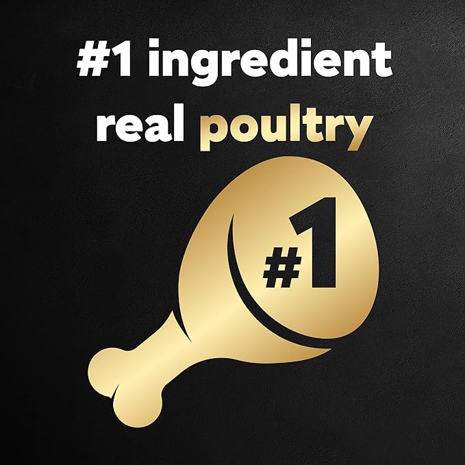 Cesar Wet Dog Food Classic Loaf in Sauce Poultry Variety Pack, 3.5 oz. Easy Peel Trays (24 Count, Pack of 1)