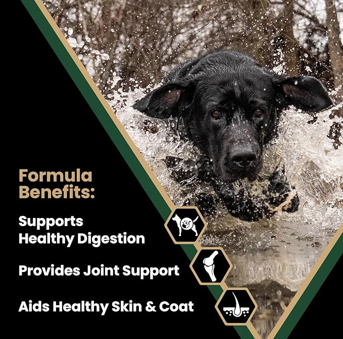 VICTOR Super Premium Dog Food – Performance Dry Dog Food from Beef, Chicken and Pork Meal – 26% Protein for Active Adult Dogs – Includes Glucosamine and Chondroitin for Hip and Joint Health, 5lbs
