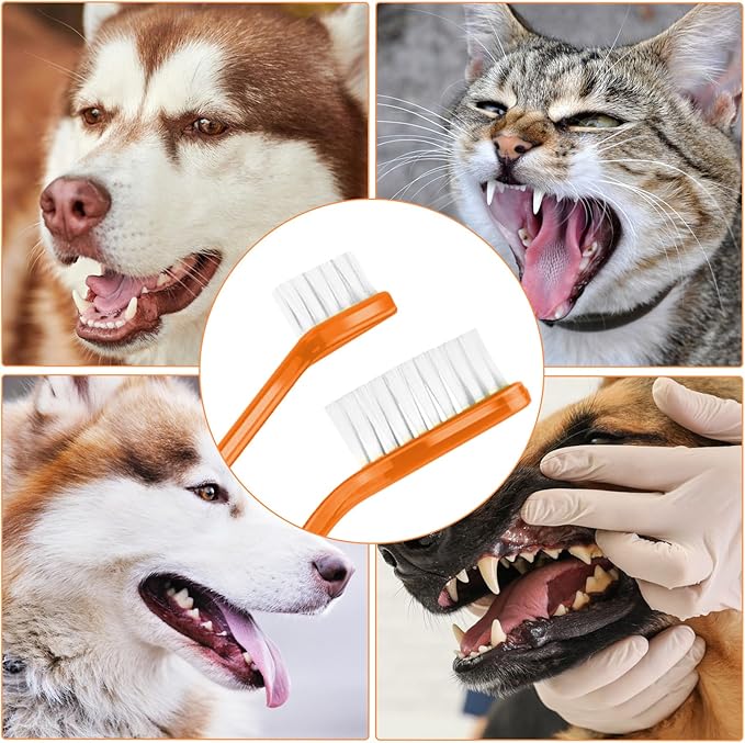 12Pcs Toothbrush for Dogs Small Breed,Dual Headed Dog Toothbrush,Dental Hygiene Soft Toothbrushs to Clean Pet Teeth,Dog Tooth Brush for Small to Large Dogs, Cats and Most Pets, 12 Color