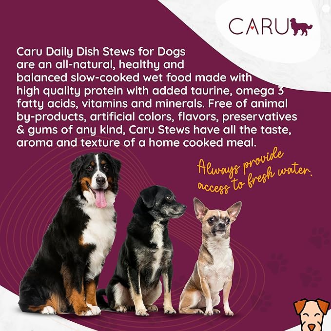 Caru Daily Dish Beef Stew, Natural Adult Wet Dog Food with Real Chunks of Beef, with Added Vitamins & Minerals, Non-GMO Ingredients (12.5 oz) - 12 Pack