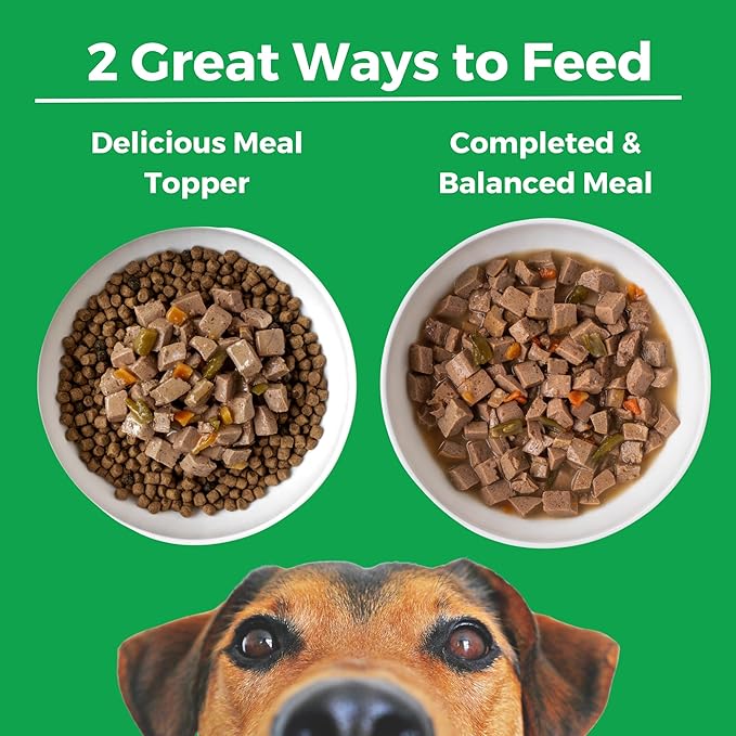 KOHA Pike Place Platter Stew for Dogs with Beef and Salmon, High Protein Wet Dog Food, 12.7oz Cans (Case of 12)