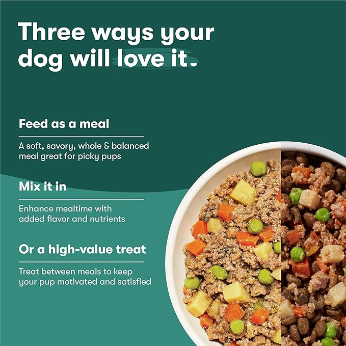 Jinx Beef Grain Free Wet Dog Food Pouches, Meal or Dog Food Topper Mix-in, Made with Real Beef & Chicken, Bone Broth & Brown Rice, No Fillers, Puppy, Adult, Senior, 9oz, 6 Pack