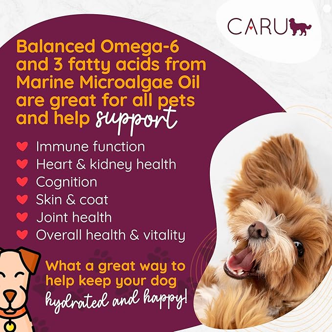 Caru - Real Pork Stew for Dogs, Natural Adult Wet Dog Food with Added Vitamins & Minerals, Free From Grain, Wheat & Gluten (Pack of 12)