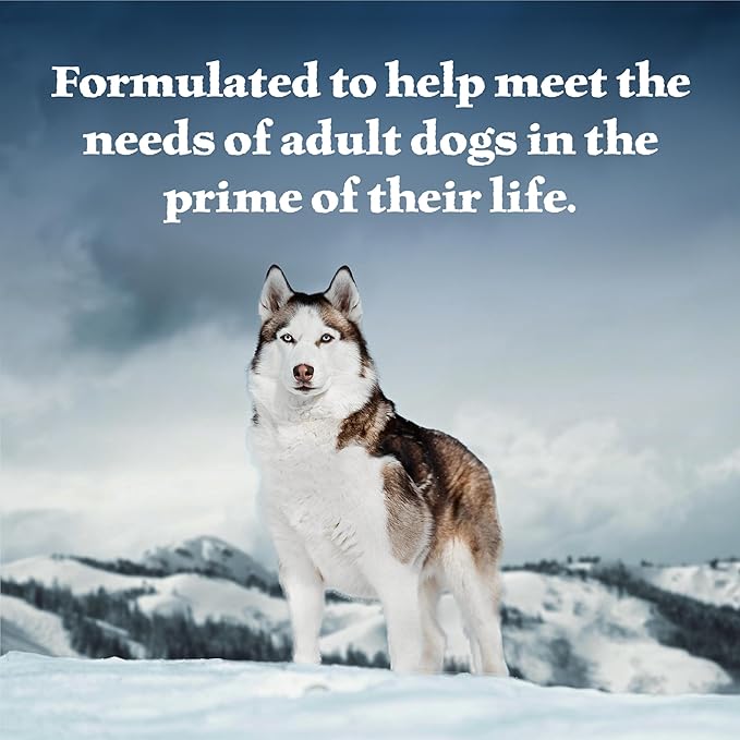 Blue Buffalo Wilderness High Protein Beef and Chicken & Salmon and Chicken Wet Dog Food Variety Pack for Adult Dogs, Grain-Free, 12.5 oz Cans (6 Pack)