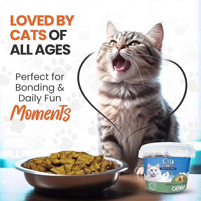 Scoochie Pet Cat by Scoochie – Catnip Flavored Cat Treats, Crunchy Outside & Creamy Inside, 3| 8.8 oz Tubs