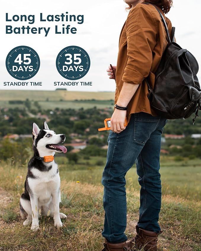 Jugbow Dog Shock Collar - 4200FT Dog Training Collars with Remote, IPX7 Waterproof E-Collar with 4 Training Modes, Security Lock, Rechargeable e-Collars
