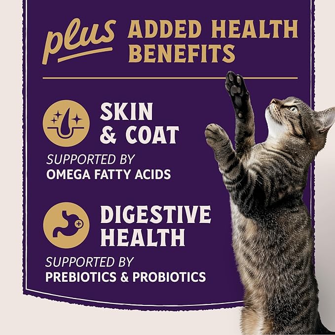 Natural Balance Ultra Protein Plus Dry Cat Food, Skin & Coat and Digestive Health Real Salmon & Chicken Meal Recipe with Chicken Liver & Chicken Heart, High Protein Cat Food for Picky Cats - 2.5 lbs