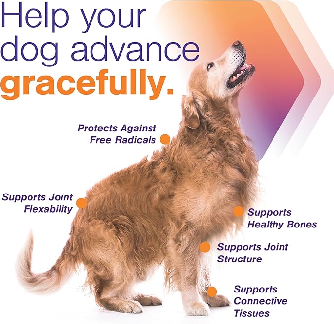 Advanced Soft Chews Hip and Joint Support Supplement for Small Dogs 120 Count by Virbac