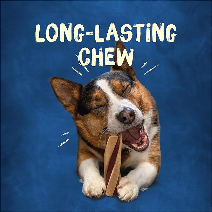 Purina Busy With Beggin' Made in USA Facilities Small/Medium Breed Dog Treats, Twist'd - (Pack of 2) 6 ct. Pouches