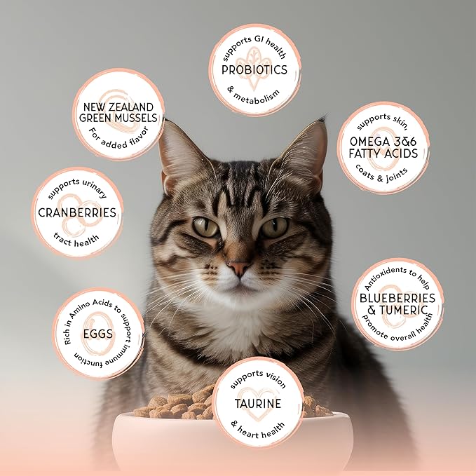 Blackwood Bounty Dry Cat Food, Salmon & Rainbow Trout Recipe for All Life Stages, 4.5 Pound Bag, High Protein, Grain Free