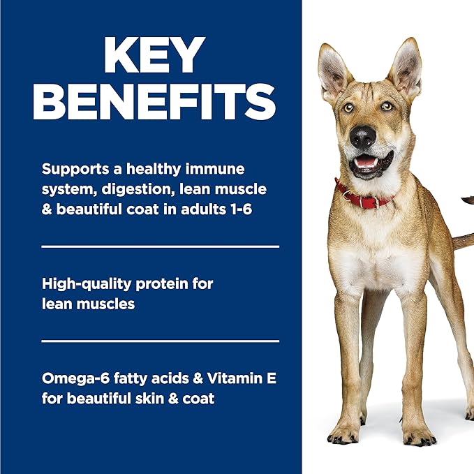 Hill's Science Diet Adult 1-6, Adult 1-6 Premium Nutrition, Wet Dog Food, Salmon & Barley Loaf, 13 oz Can, Case of 12