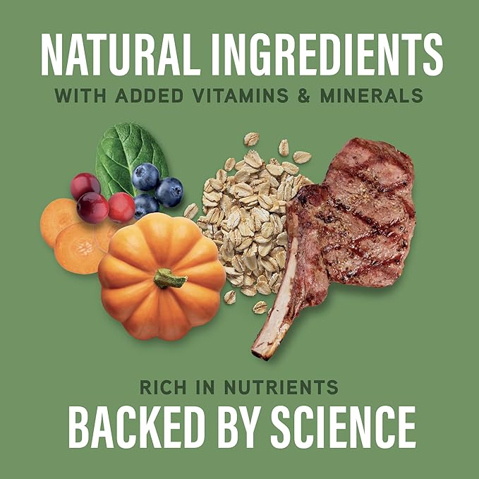 Natural Balance Specialized Nutrition Dry Dog Food with Lamb and Oatmeal for Dogs, Digestive & Immune Health Food, Natural Ingredients with Added Vitamins & Minerals - 3.5 lbs (Pack of 2)
