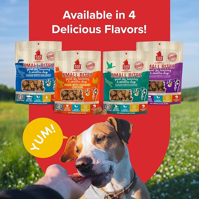 PLATO Small Bites Dog Treats, Natural Bite Sized Real Meat & Chicken Flavor, Grain Free & High in Protein, Air Dried Authentic Ingredients, 2 Calories Per Treat, Made in the USA, 2.5 Ounces