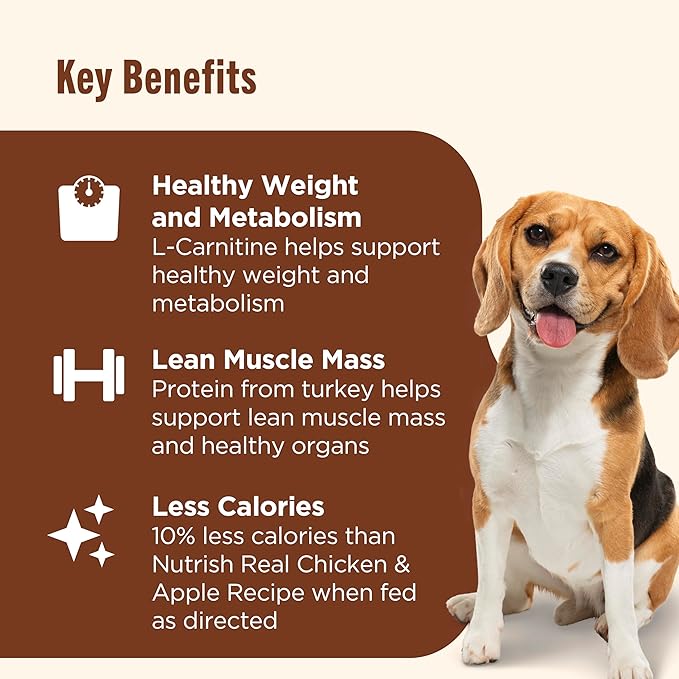 Nutrish Rachael Ray Weight Management Wet Dog Food Premium Paté Real Turkey & Pumpkin Recipe, 13 oz. Can, 12 Count