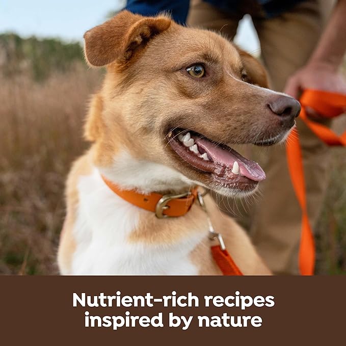 Nature's Recipe Chicken, Barley & Brown Rice Recipe Dry Dog Food with Freeze Dried Chicken Bites 3.5 lb Bag (Pack of 4)