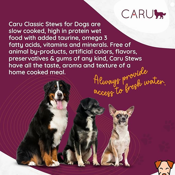 Caru - Classics Turkey with Lamb Stew for Dogs - Healthy Wet Dog Food or Food Topper - Balanced Omega Blend - 12.5 oz Cartons - Pack of 4