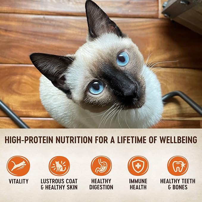 Wellness CORE Hearty Cuts Adult Wet Cat Food, Natural, Protein-Rich, Grain Free, 5.5 Ounce, 24 Pack (Chicken & Tuna)