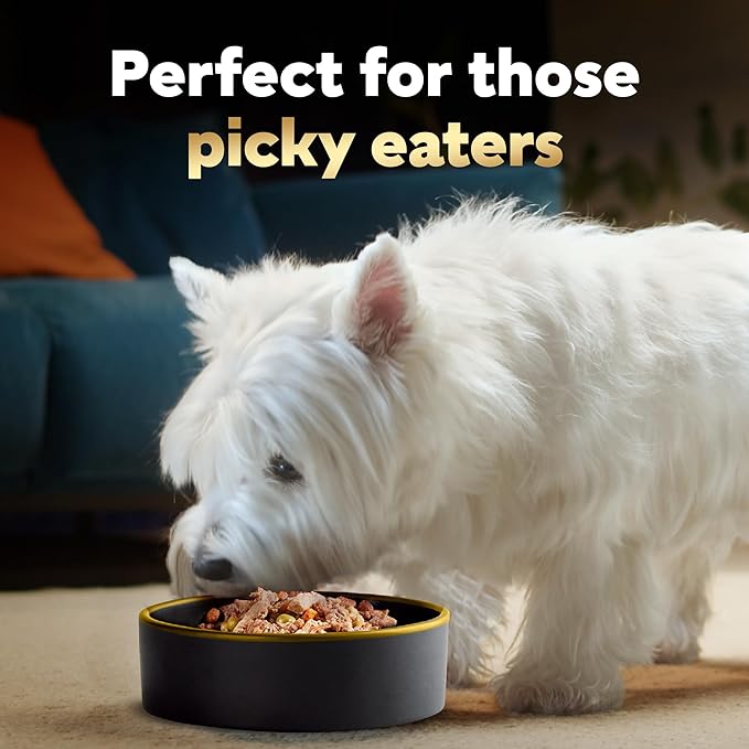 Cesar Simply Crafted Adult Wet Dog Food Meal Topper, Beef, Chicken, Purple Potatoes, Peas & Carrots, 1.3oz. (10 Count, Pack of 1)