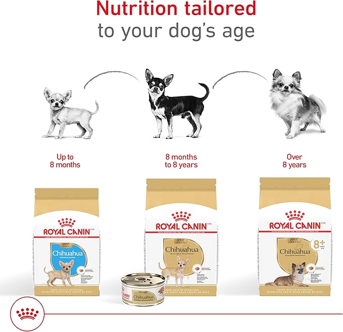 Royal Canin Breed Health Nutrition Chihuahua Adult Loaf in Sauce Wet Dog Food, 3 oz can (4-pack)