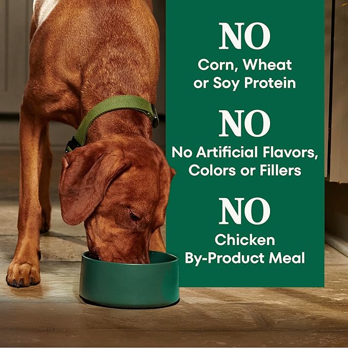 Nutro Natural Choice Adult Healthy Weight Dog Food, Chicken & Brown Rice Recipe, 30 lb. Bag