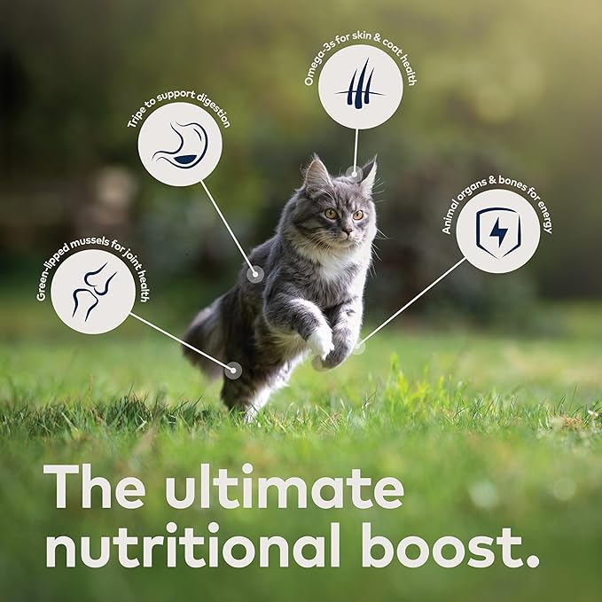 ZIWI Peak Canned Wet Cat Food – All Natural, High Protein, Grain Free, Limited Ingredient, with Superfoods (Chicken, Case of 24, 3oz Cans)