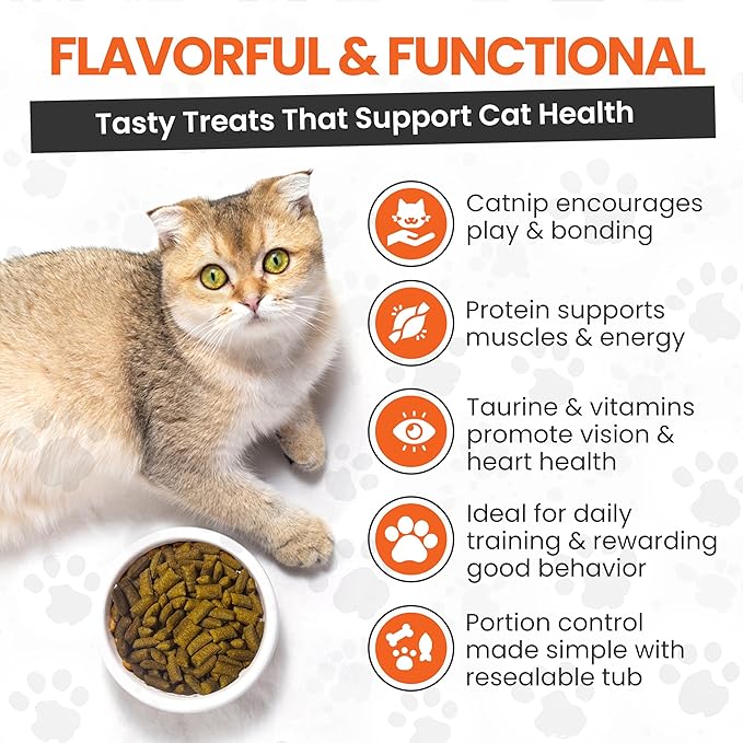 Scoochie Pet Cat by Scoochie – Catnip Flavored Cat Treats, Crunchy Outside & Creamy Inside, 3| 8.8 oz Tubs